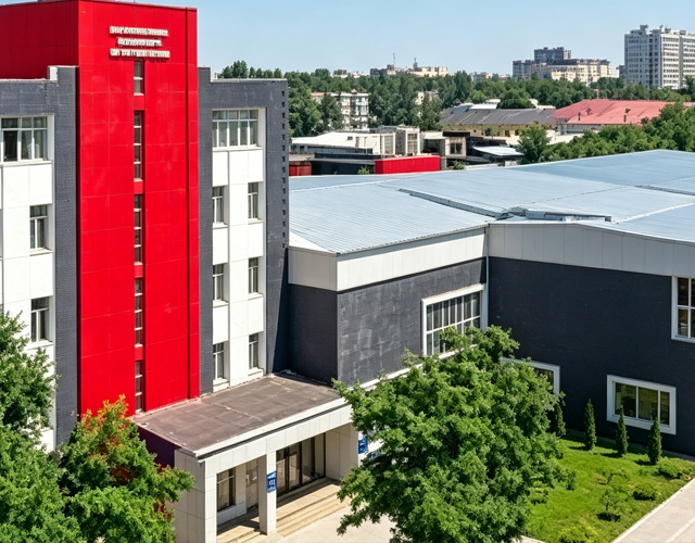 国际大学